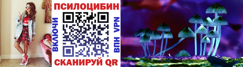Галлюциногенные грибы прущие грибы  Киржач 