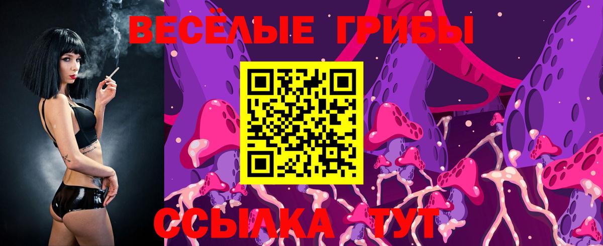 купить наркоту  Вход с VPN  Киржач  Псилоцибиновые грибы мицелий 