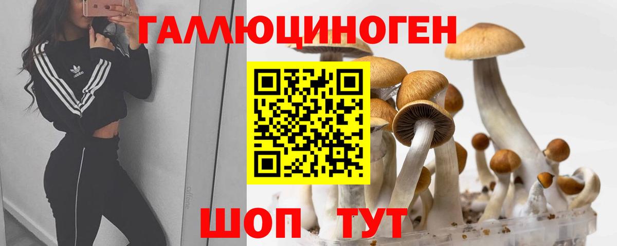 Галлюциногенные грибы Magic Shrooms Киржач