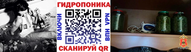 Бошки марихуана THC 21%  купить   Киржач 